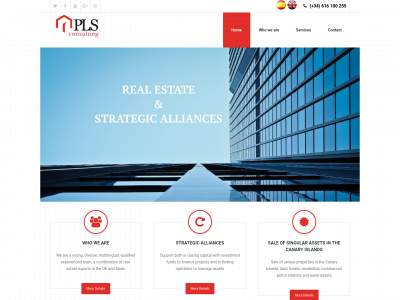 pls-consulting.com snapshot