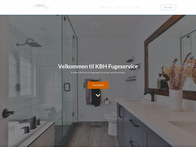 fugepistolen.dk snapshot