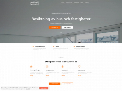 pedersenbesiktning.se snapshot