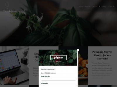 veggiejeva.co snapshot