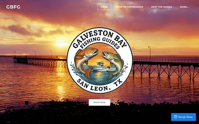 www.galvestonbayfishingguides.com snapshot