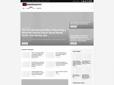 mavensavvy.com snapshot