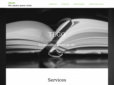 tegoenligne.com snapshot