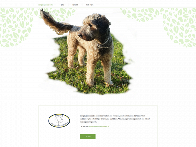 stangbylabradoodle.se snapshot