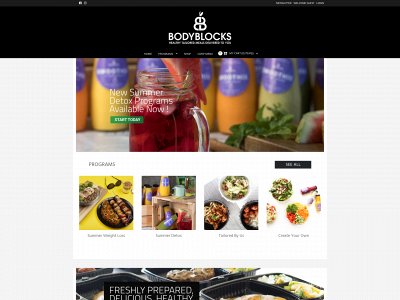 bodyblockseg.com snapshot