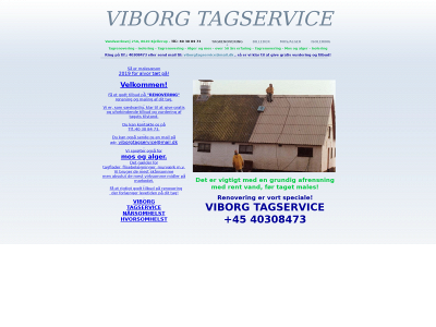 viborgtagservice.dk snapshot