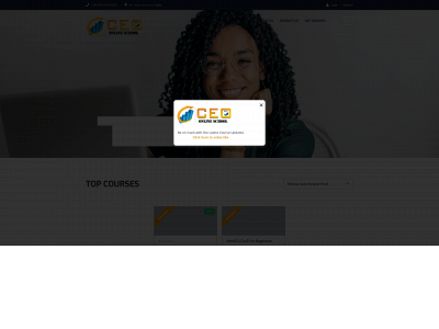 ceoonlineschool.com snapshot