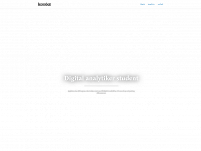 leooden.tech snapshot