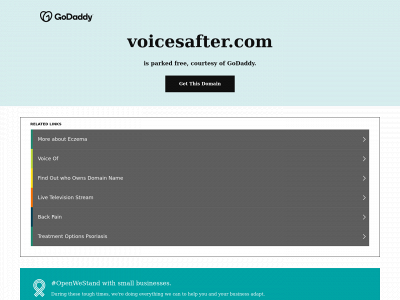 voicesafter.com snapshot