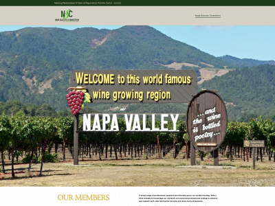 napasuccessconnection.com snapshot