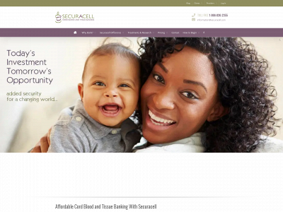 securacell.com snapshot