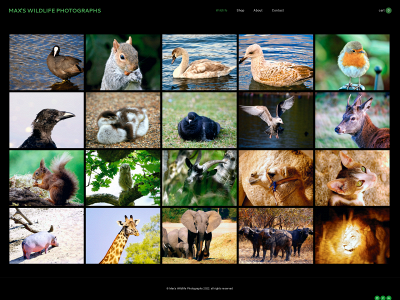 www.maxnewmarkswildlife.com snapshot