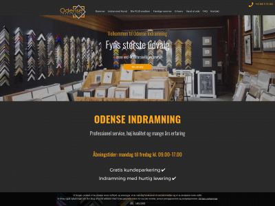 odense-indramning.dk snapshot