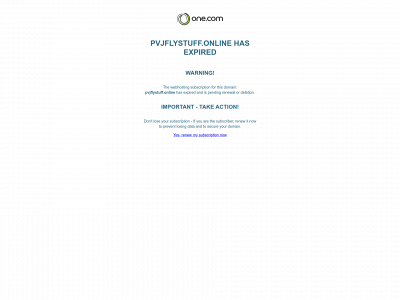 pvjflystuff.online snapshot