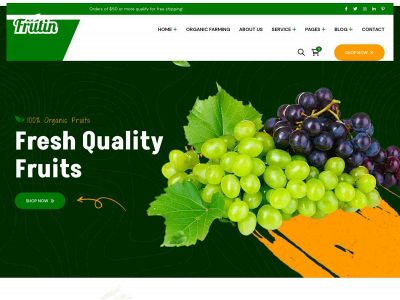 slimmer-eten.nl snapshot