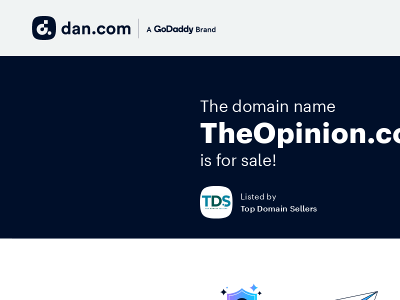 theopinion.co snapshot