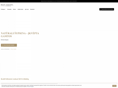 koa.lt snapshot