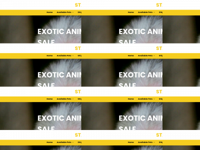 starburkexotic.com snapshot