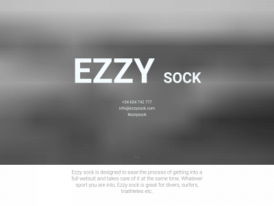ezzysock.com snapshot