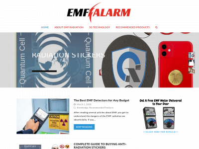 emfalarm.com snapshot