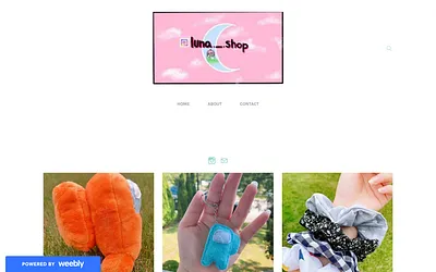 lunashopz.weebly.com snapshot
