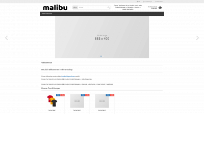 sinatras-shop.com snapshot