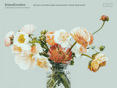 erlandcreative.com snapshot