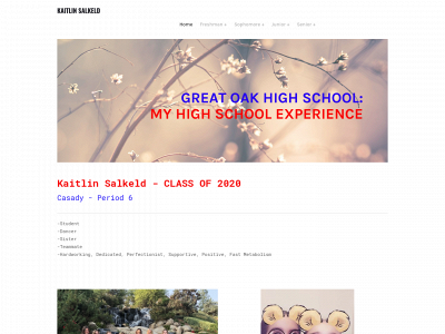 kaitlinsalkeld.weebly.com snapshot