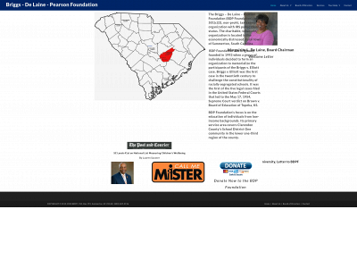 briggsdelainepearsonfoundation.org snapshot
