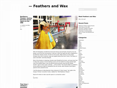 feathersandwax.com snapshot