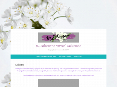 solorzanovasolutions.com snapshot