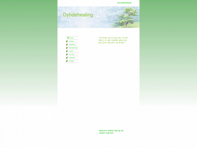 dybdehealing.dk snapshot