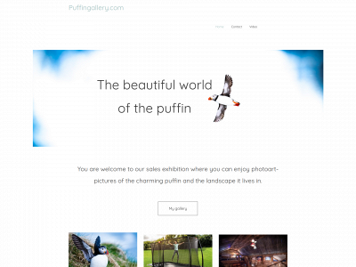 puffingallery.com snapshot