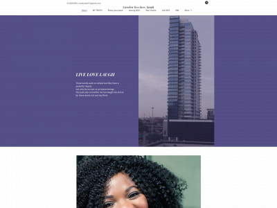 msdye.com snapshot