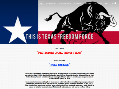 www.txfreedomforce.org snapshot