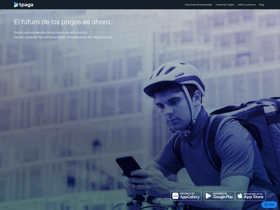 tpaga.co snapshot