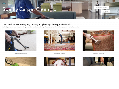 www.sparkycarpetcleaning.com snapshot