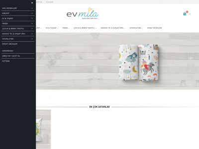 evmila.com snapshot