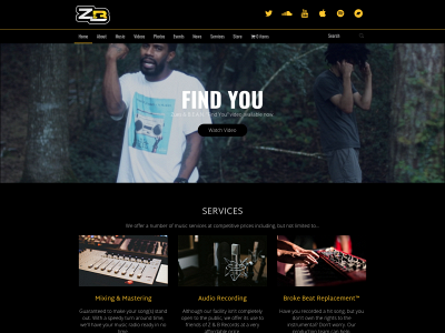 zandbrecords.com snapshot