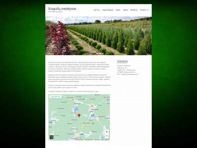 surguciumedelynas.lt snapshot