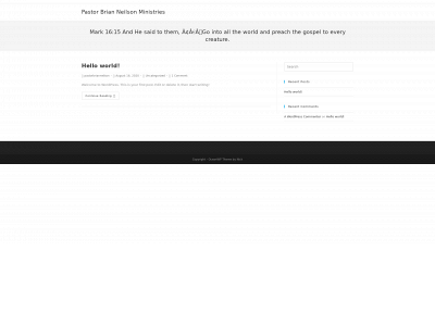 pastorbrianneilsonministries.org snapshot