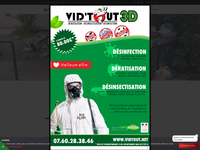 vidtout.net snapshot