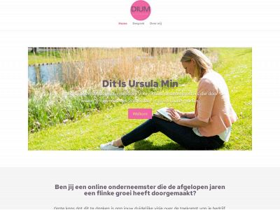 diumbusinessmanagement.nl snapshot