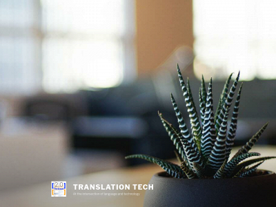 translationist.com snapshot