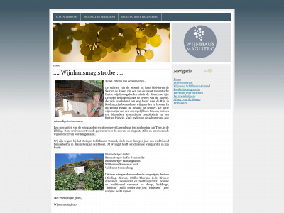 wijnhausmagistro.be snapshot