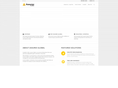 assurexglobal.com snapshot