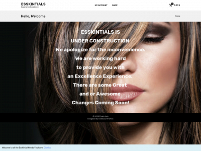 esskintials.com snapshot
