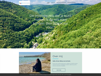 bestversionacademy.nl snapshot