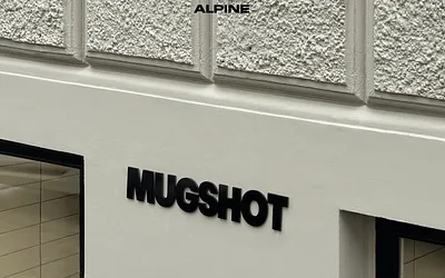 alpine-office.com snapshot