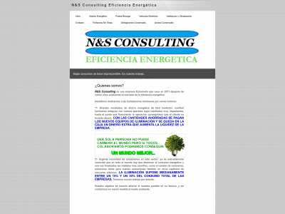 nysconsulting.net snapshot